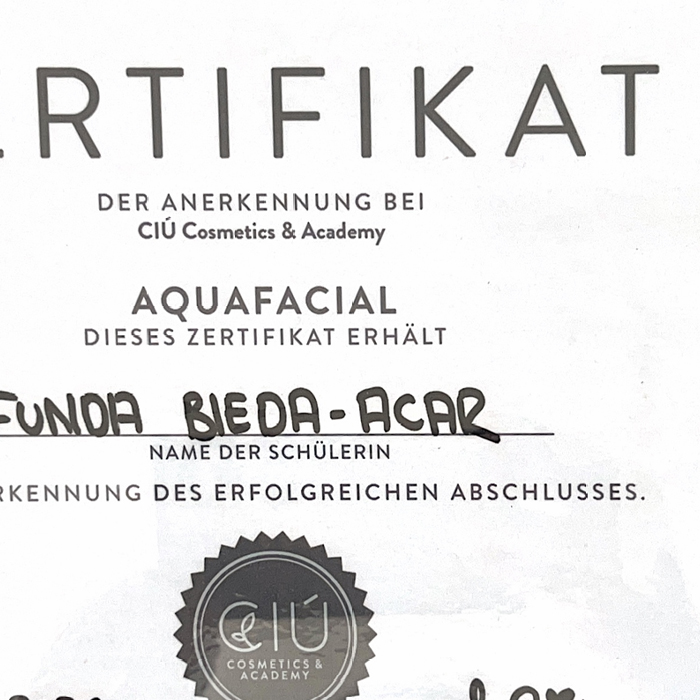 PhiBrows Artist Sertifikası