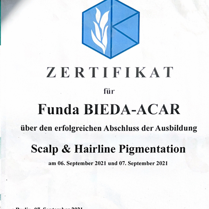 PhiBrows Training Sertifikası